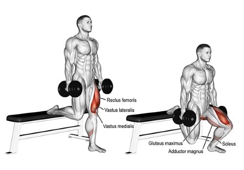 Dumbbell Split Squat với tạ đơn giúp tăng cơ đùi và mông